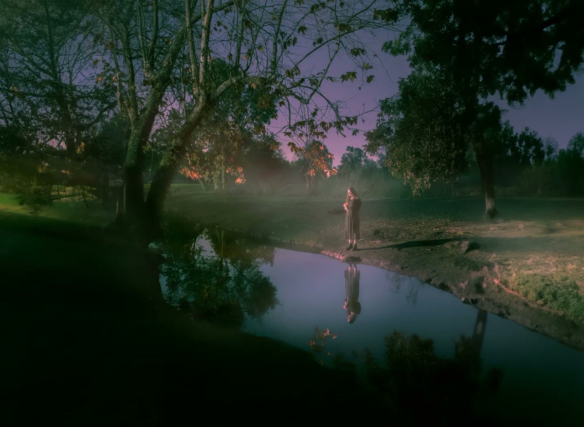 programzero_'s tweet image. my photographs as horizontals.