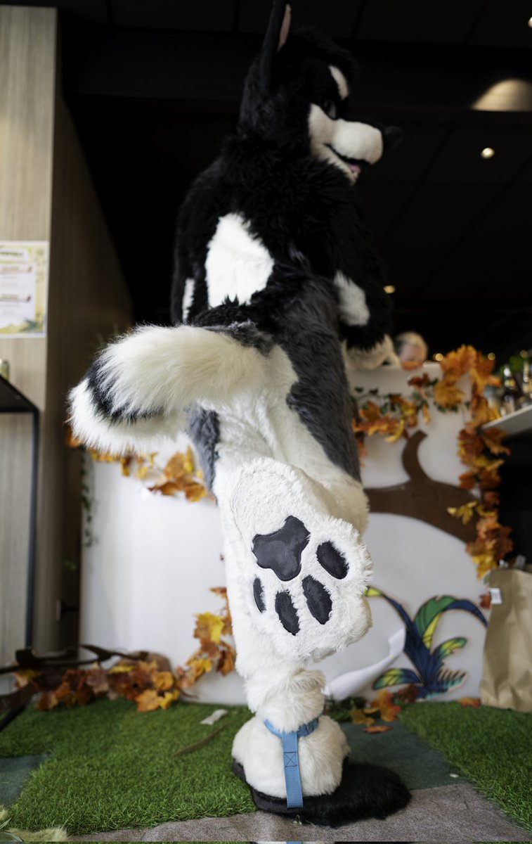 Ah, the paw inspector is finally here 😏 Just do your things I guess! 📷 @Krymson_K at @FauntasticCon