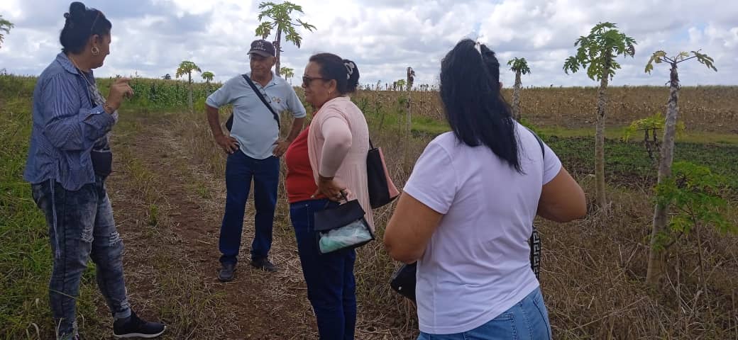 🌱| Como parte del ejercicio de recontratación a los productores, se encuentran en la CCS Mariano Pérez diferentes especialistas de la agricultura y cuadros del territorio, encabezado por Lilian Rojas Barrios, Presidenta de la Asamblea Municipal de #NuestroRemedios.

#Cuba