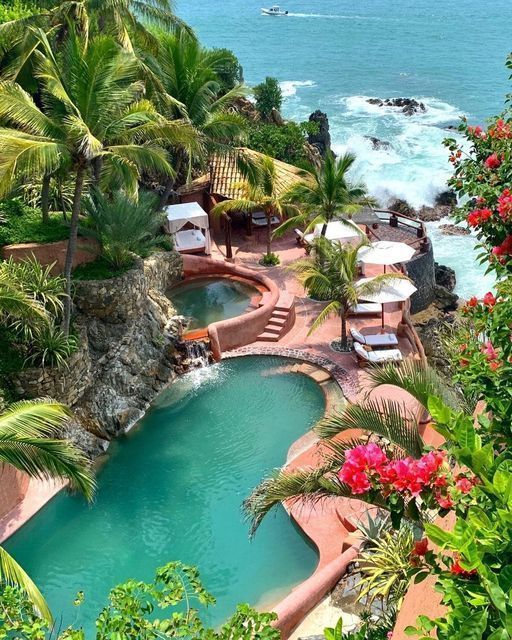 ✨🌴 Lose yourself in the serene beauty of Zihuatanejo's lush tropical gardens. Take a stroll amidst vibrant flora & lose yourself. 🌿💫 📸@bridalbar 
.
.
.
.
.
#TropicalGarden #Zihuatanejo #NatureLovers #SereneEscape #FinesseHolidays #mexico #travel #tourism