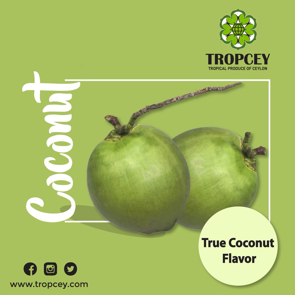 True Coconut Flavor...🧉🌴
#coconutflavor #tropceyexport #madeinsrilanka #coconutoil #coconutwater #coconutmilk #coconutchips #coconut #coconutproducts #coconutindustry #tropical