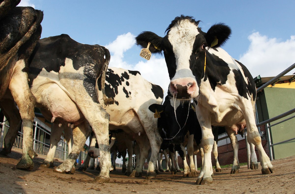 Comment: Businesses must collaborate with #Farmers to mitigate half of food system #emissions by 2030. Read oped by @DianeBHoldorf of @wbcsd. @Nestle @Bunge #netzero #agriculture #farming #cerrado #dairyfarming @tslavinm @LiamDowd10 @REvents_SustBiz reuters.com/sustainability…