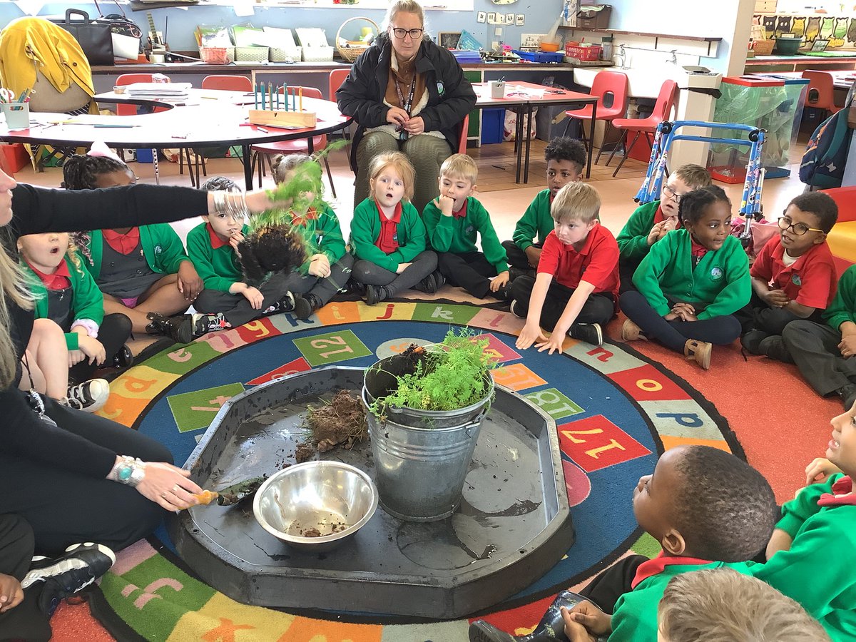 🌼🥕🌼 Today in #Year1 we have been Plant Detectives! 🥕🌼🥕 We have been investigating the similarities and differences between the roots of different plants! 🌼🥕🌼 #ScienceIsFun #Exploratory #Observational @SJLCARDIFF