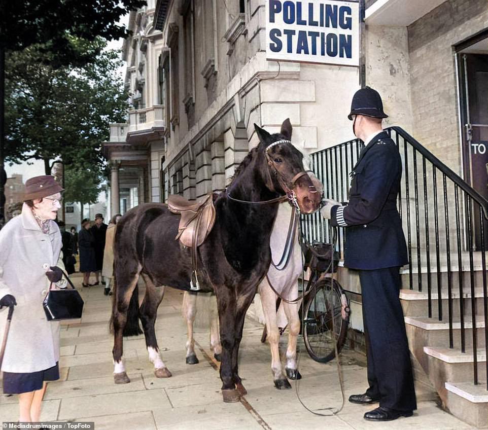 A policeman holds onto a couple of horses at a Knightsbridge polling station, as their riders vote in the 1964 general election.
