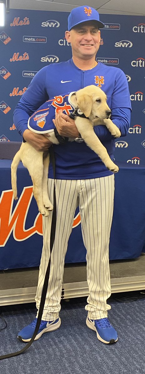 Do you like dogs, Carlos? “Eh,” Mendoza said. This is Buddy, the Mets’ new dog with @AmericasVetDogs.