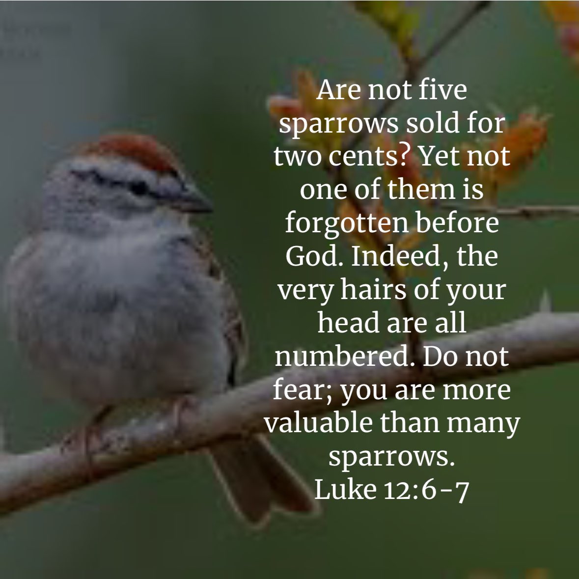 Do you know your worth? God does🕊️💜

#TakeCareOfYourTemple 
#PeaceNotChaos 
#OneStepAtATime 
#EyesOnTheFather