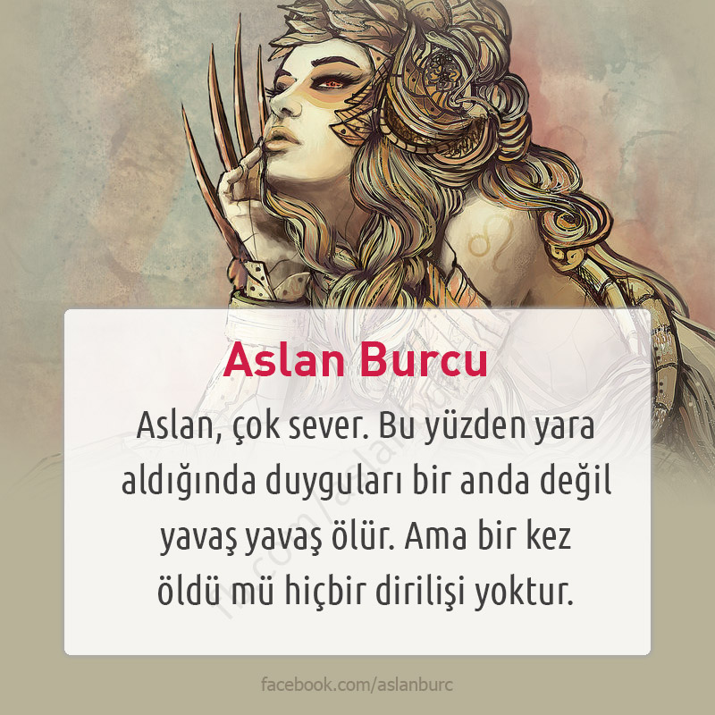 #AslanBurcu