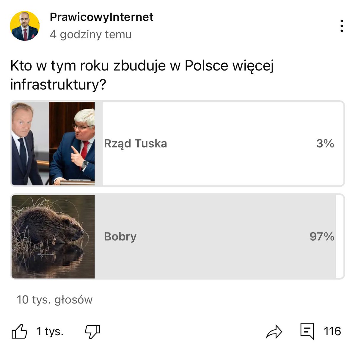 10.000 głosów w ankiecie. Wiwat bobry 🦫🦫🦫