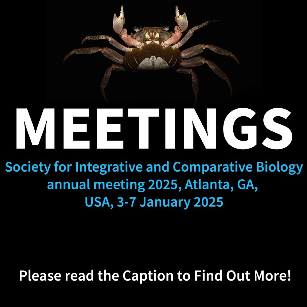 🦐 Mark your calendars! We're thrilled to announce the SCIB Annual Meeting 2025, taking place in Atlanta, GA,USA from January 3-7 2025. Registration deadline will be announced soon. For more info, please visit: sicb.org 📷 Ffish.asia (CC)