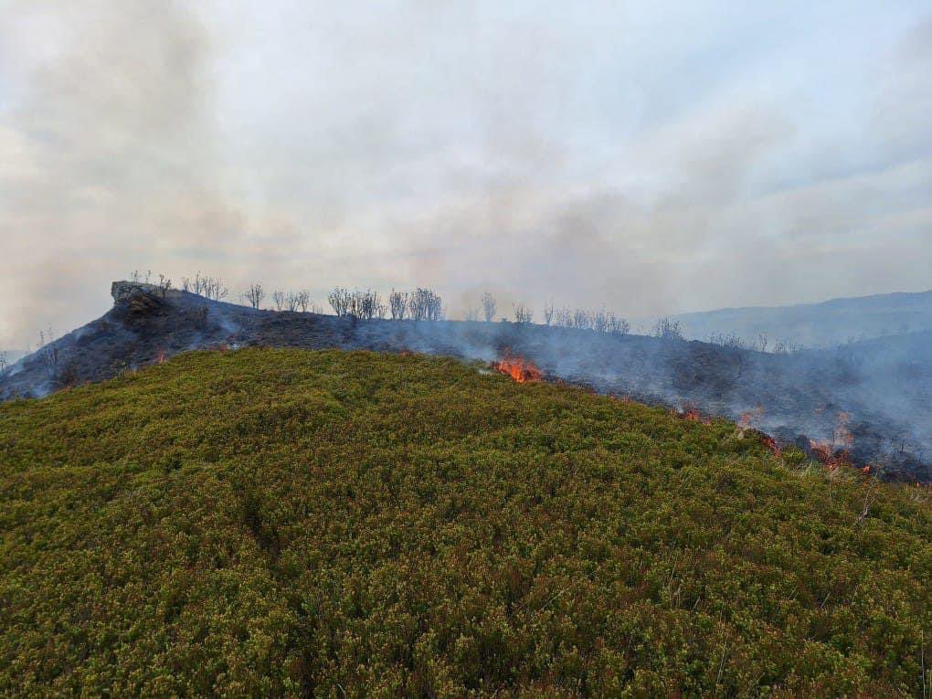🔥W powiecie bieszczadzkim doszło do pożaru traw na terenie Bieszczadzkiego Parku Narodowego. 🚒Teren jest trudno dostępny. Na miejscu działają zastępy straży pożarnej z użyciem quadów oraz bezzałogowych statków powietrznych.