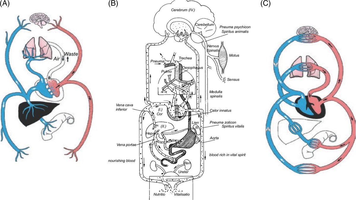 The most in-depth and interesting article on the evolution of the Cardio-Hepatology field, a truly unique relationship: journals.lww.com/cld/fulltext/2… See the entire series of History of Hepatology collection here: journals.lww.com/cld/fulltext/2…