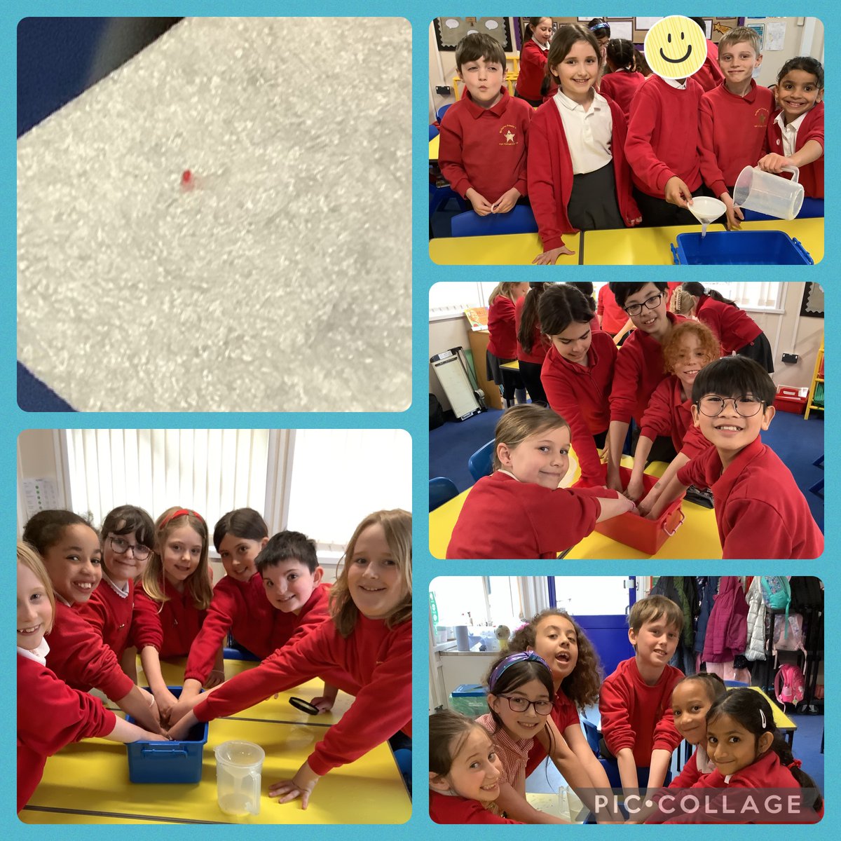 Blwyddyn 4 have been investigating micro-plastics and found microfibres in some children’s jumpers! Microfibres and micro-plastics can get into waste water and sometimes make their way to the sea. #birch24ST #birch24eco