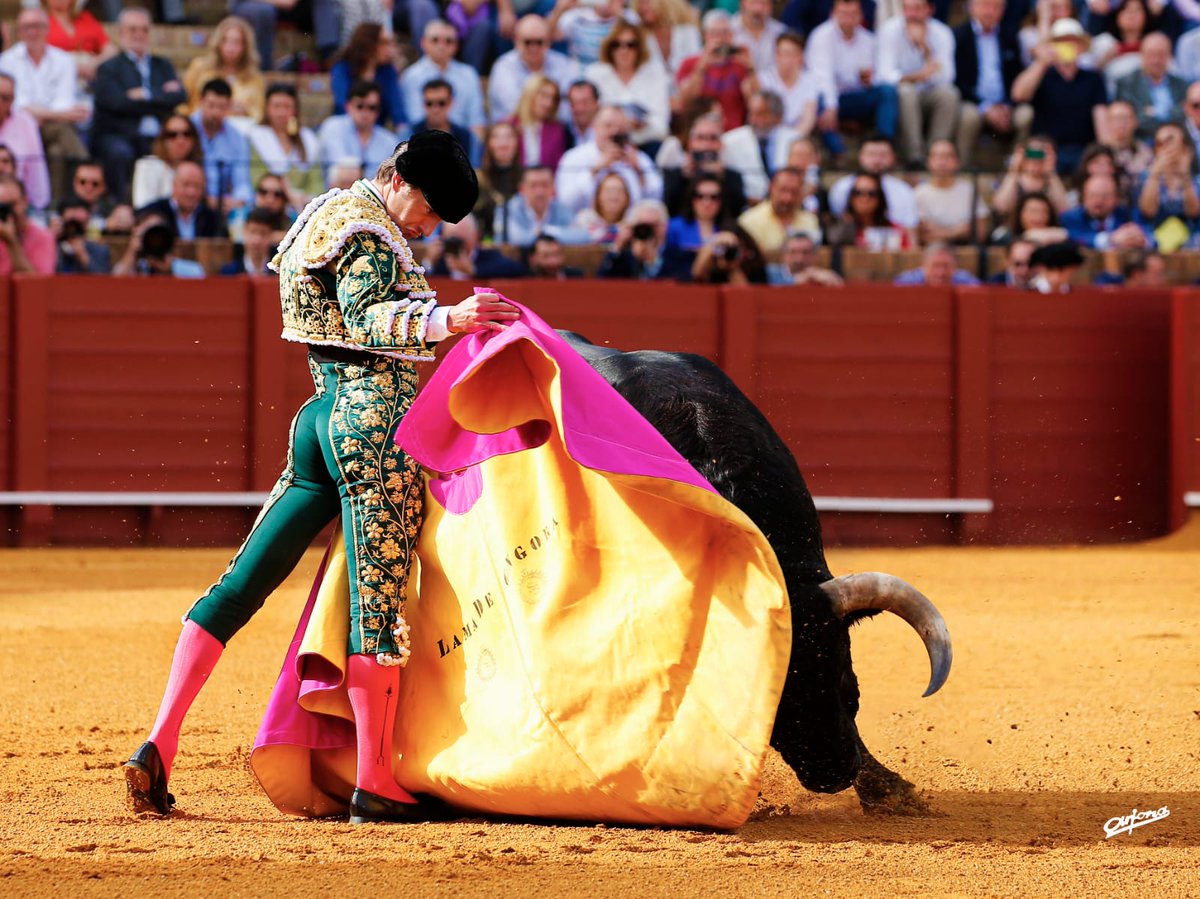 ACTUALIDAD.- Lama de Góngora debutará como matador de toros en Francia @LamadeGongora burladero.tv/actualidad/202…