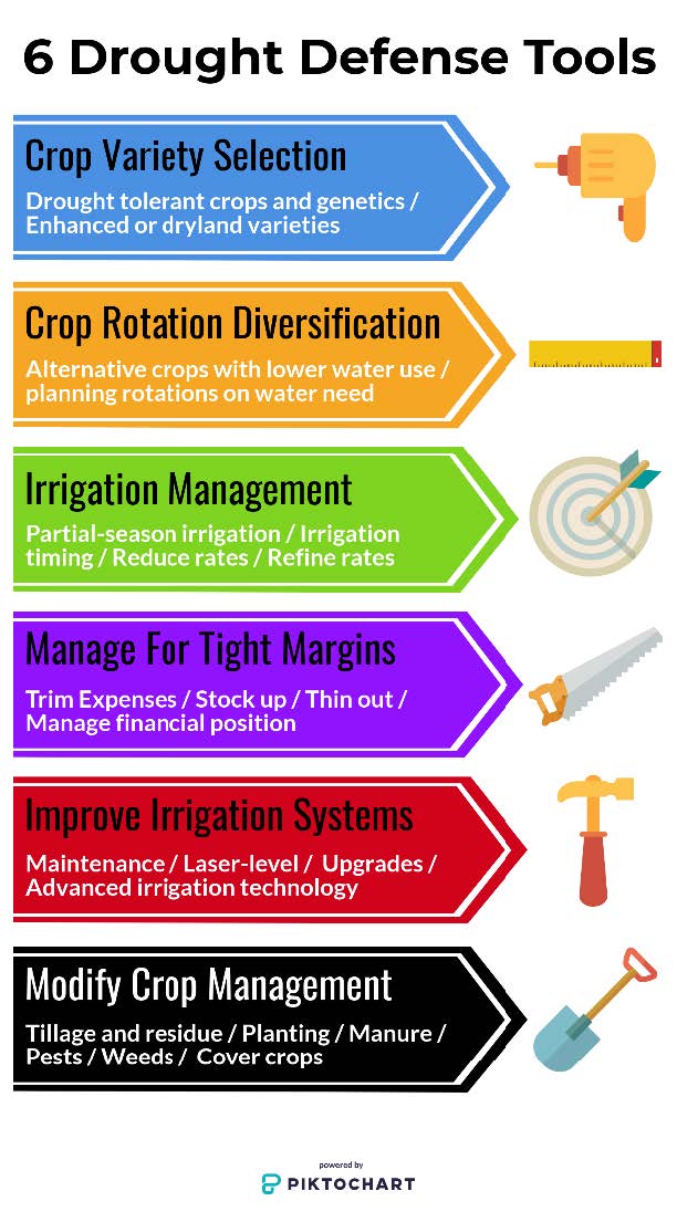 6 Tools to Defend Your Crops Against Drought
#SmartFarming #DroughtResilience #agribusiness