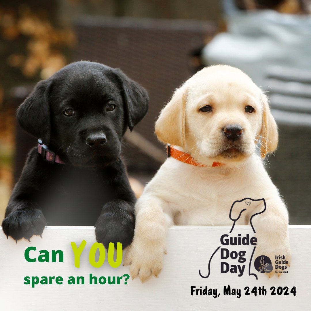 🐾 Join Us for Guide Dog Day 2024! 🐾
🗓️ Save the date: Friday, May 24th! 🌟
We need YOUR help to make Guide Dog Day 2024 a success! 🙌 Volunteer to assist at events, spread the word on social media, or organise local activities.
 Visit guidedogs.ie/ways-to-help/v… 
#ChangingLives