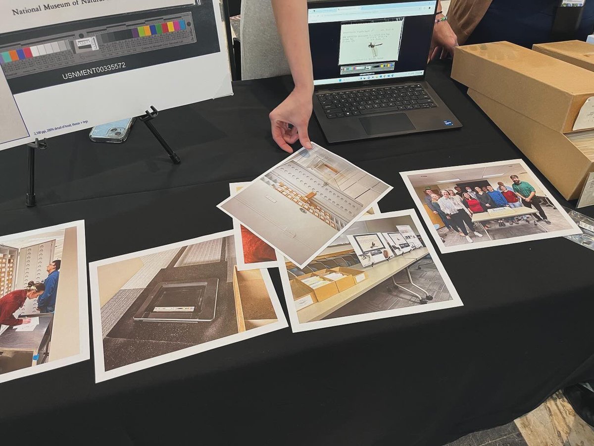 SI Collections Digitization (@sixdigi) on Twitter photo It was a joy yesterday to see our collaboration with <a href="/NMNH_Entomology/">NMNH_Entomology</a> represented at the NCP Collections Share Fair! Between June - October 2022, over 107,000 damselflies and dragonflies were #digitized. It was a joy yesterday to see our collaboration with <a href="/NMNH_Entomology/">NMNH_Entomology</a> represented at the NCP Collections Share Fair! Between June - October 2022, over 107,000 damselflies and dragonflies were #digitized.