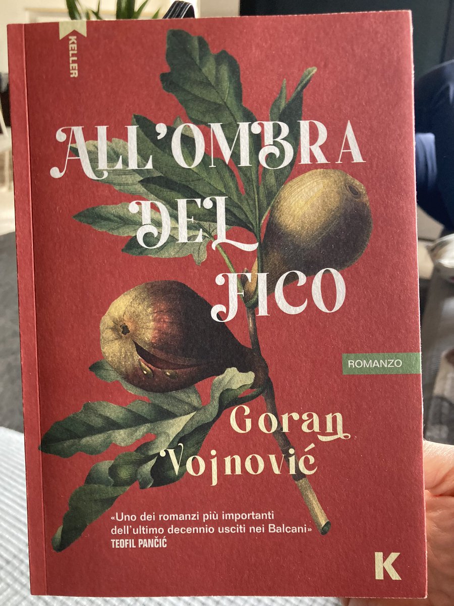 “Preferivo essere un conformista agli occhi altrui piuttosto che un cattivo scrittore ai miei”. All’ombra del fico Goran Vojnović @KellerEditore Mooolto bello!! Lo conoscete? @artdielle @danisetta @raf_rob