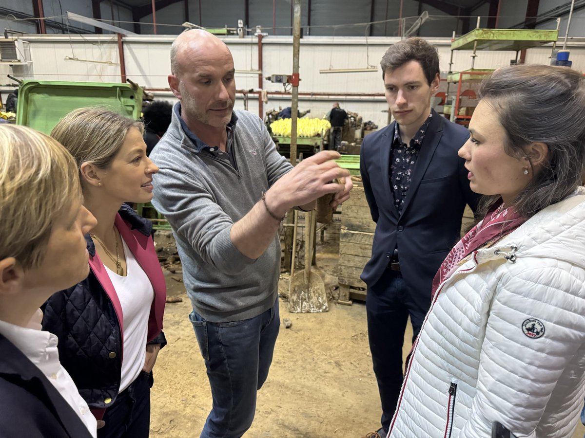 Visite d’une endiverie à La Couture aux côtés de @CelineImart et Emmanuelle Mignon en présence de @xavierbertrand et @DFasquelle. 
L’occasion d’échanger avec les producteurs d’#Endives de l’avenir de leur filière et de l’impact de l’#Europe dans leur travail. 
@lesRepublicains