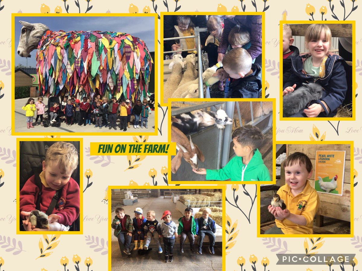 Nursery had an amazing day at the farm! Thank you so much to our fabulous adult helpers and to Sarah at Mrs Dowson’s Farm Park. There will be lots of tired but happy children this evening! @mrsdowsons @StJamesChorley @StJamesNur