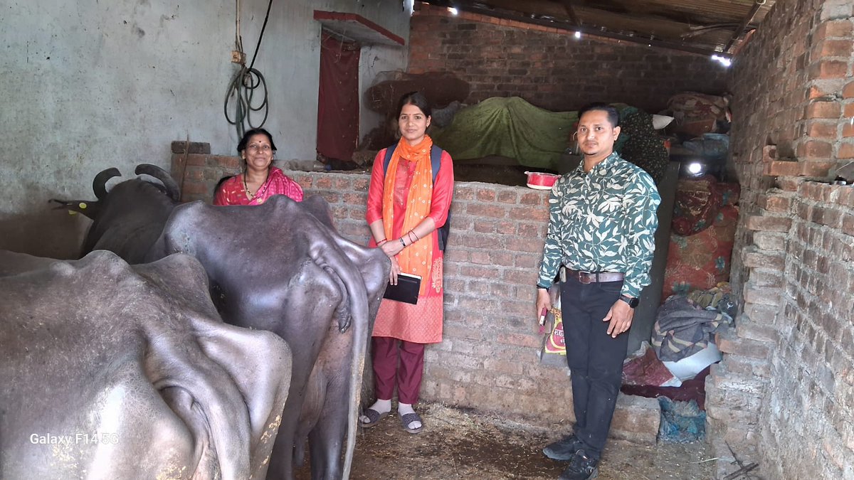 दिनांक 30/4/2024 को विकासखंड हल्द्वानी के अंतर्गत हिमालय CLF में ग्राम पंचायत नाथूपुर पडली और गुजरोड़ा में चार अल्टापुअर सदस्यों के पशुओं का पशु बीमा करवाया गया।