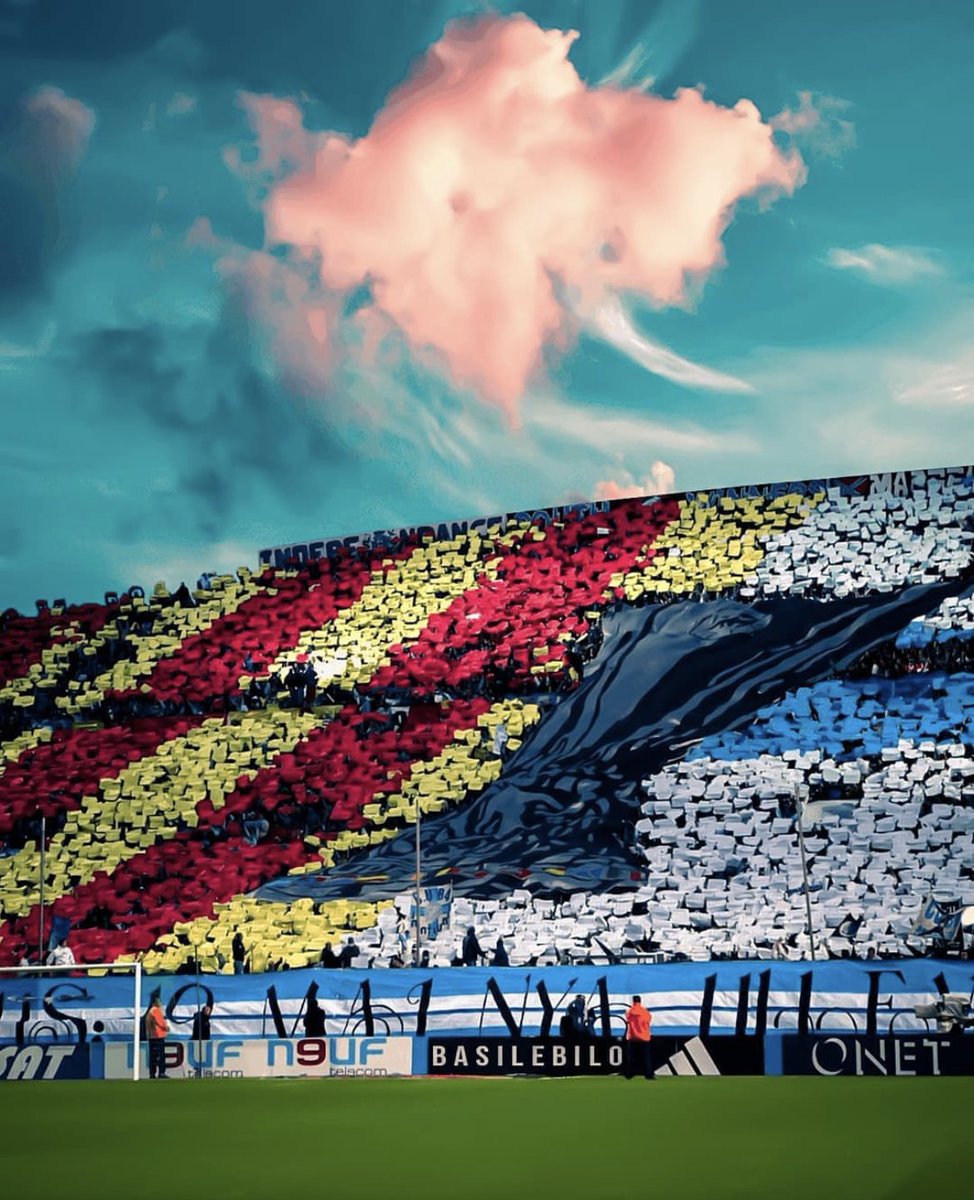 BILO ✍️ tweet media