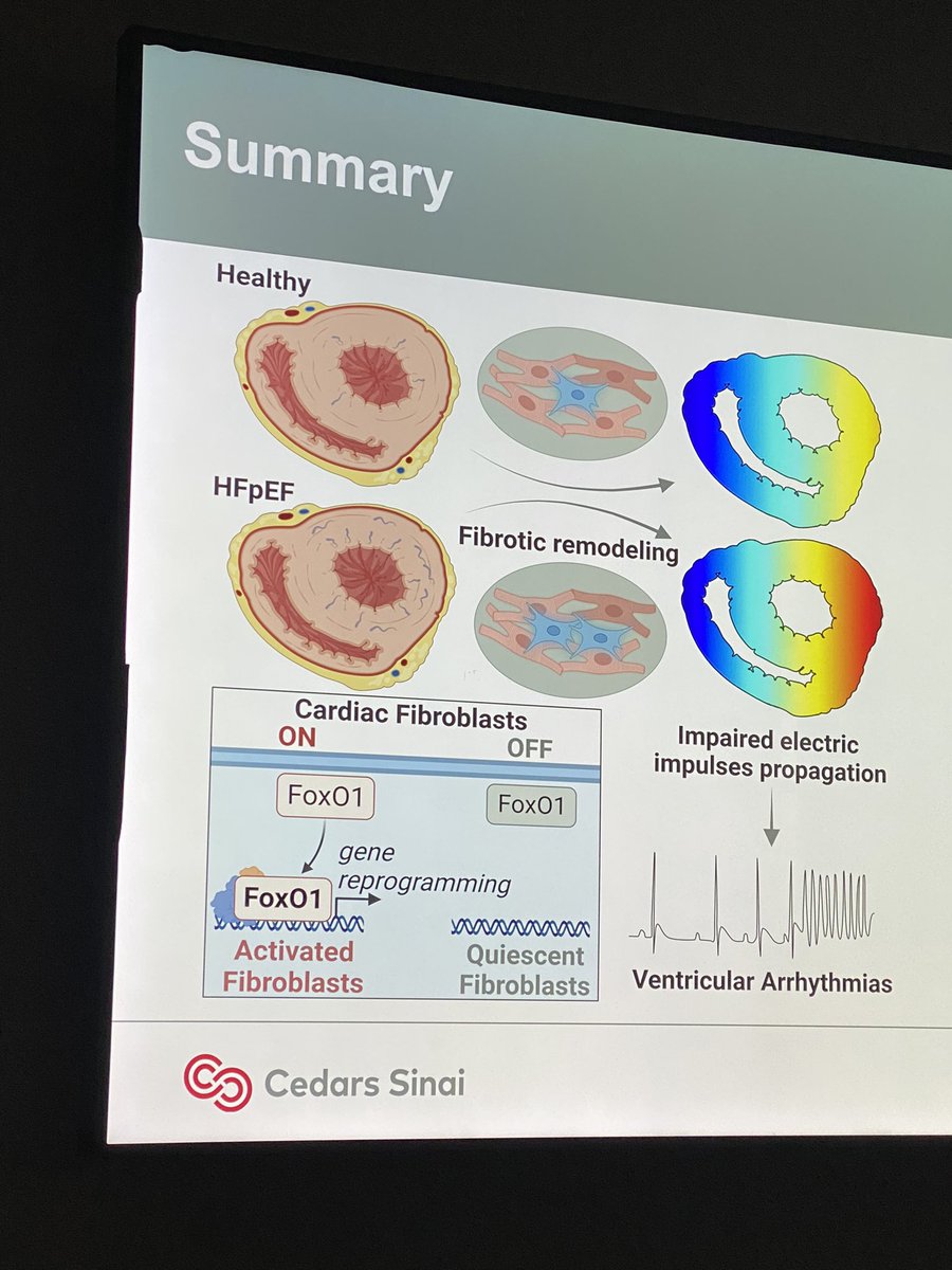 Fascinating #labmeeting by @ThassioMesquita on #fibrosis in #HFpEF. Targeting FOXO1 in #fibroblasts improves #diastole and reduces #VT #inducibility in 2-hit mice. @SmidtHeart @CedarsSinaiMed