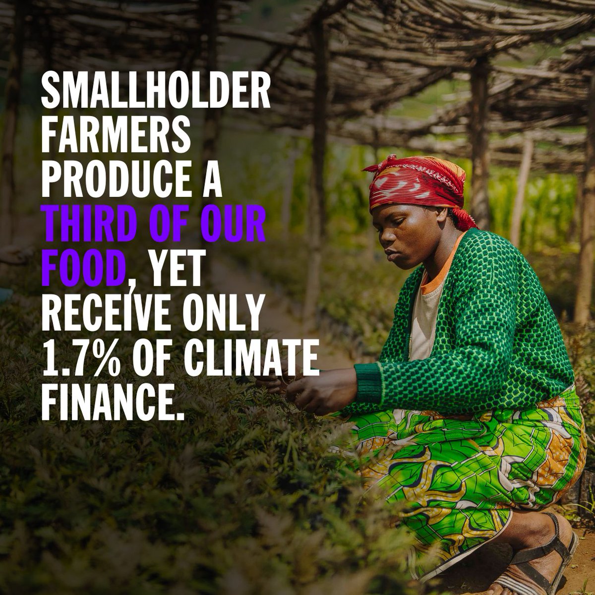 Did you know that smallholder farmers produce a third of our food, yet receive only 1.7% of climate finance? Learn more about Audacious Project, Restore Local, from @WRIafrica on how they're changing that: audaciousproject.org/grantees/resto…