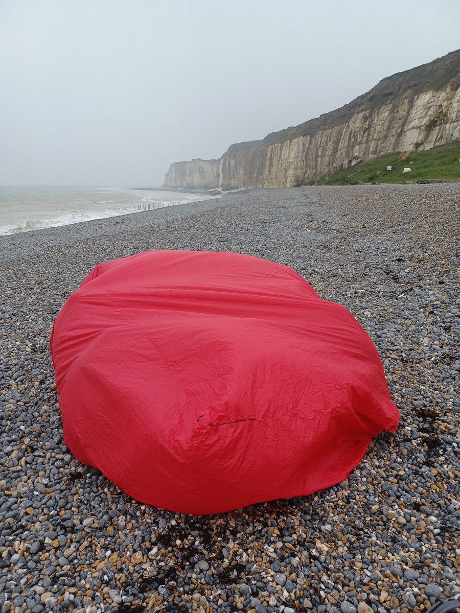 The outdoor classroom.  Wet and windy Newhaven West beach.
Guess what's going on inside?
@SussexWildlife