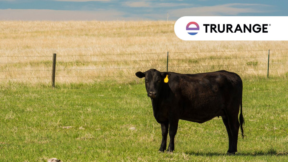 TruRange® takes fast action against weed & brush species with visible results in 2 weeks! Even better, you can see benefits long-term with restoration of native grassland & increased forage production. What are you waiting for? Find a TruRange distributor: bit.ly/3J4EHsY