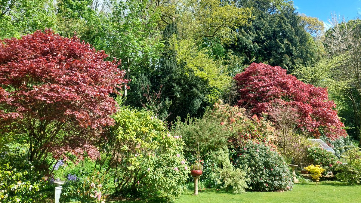 Thanks to William Lynn for facilitating a visit by our Level 4 horticulture students to his stunning gardens at Creevagh House in Derry. We’re now taking applications for this part-time course, starting this Summer: donegaletb.ie/course-detail/…. #GoFurtherWithDonegalETB