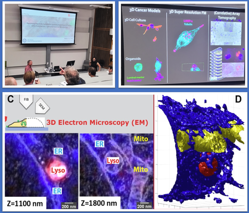 ¿🔎? How to better understand biogenesis alterations (i.e. neurological/metabolic disorders and cancer? Dr @NalanLiv Liv’s research help us monitor functional parameters of endo-lysosomal compartments using vEM techniques.

doi.org/10.1093/micmic…
doi.org/10.1016/bs.mcb…