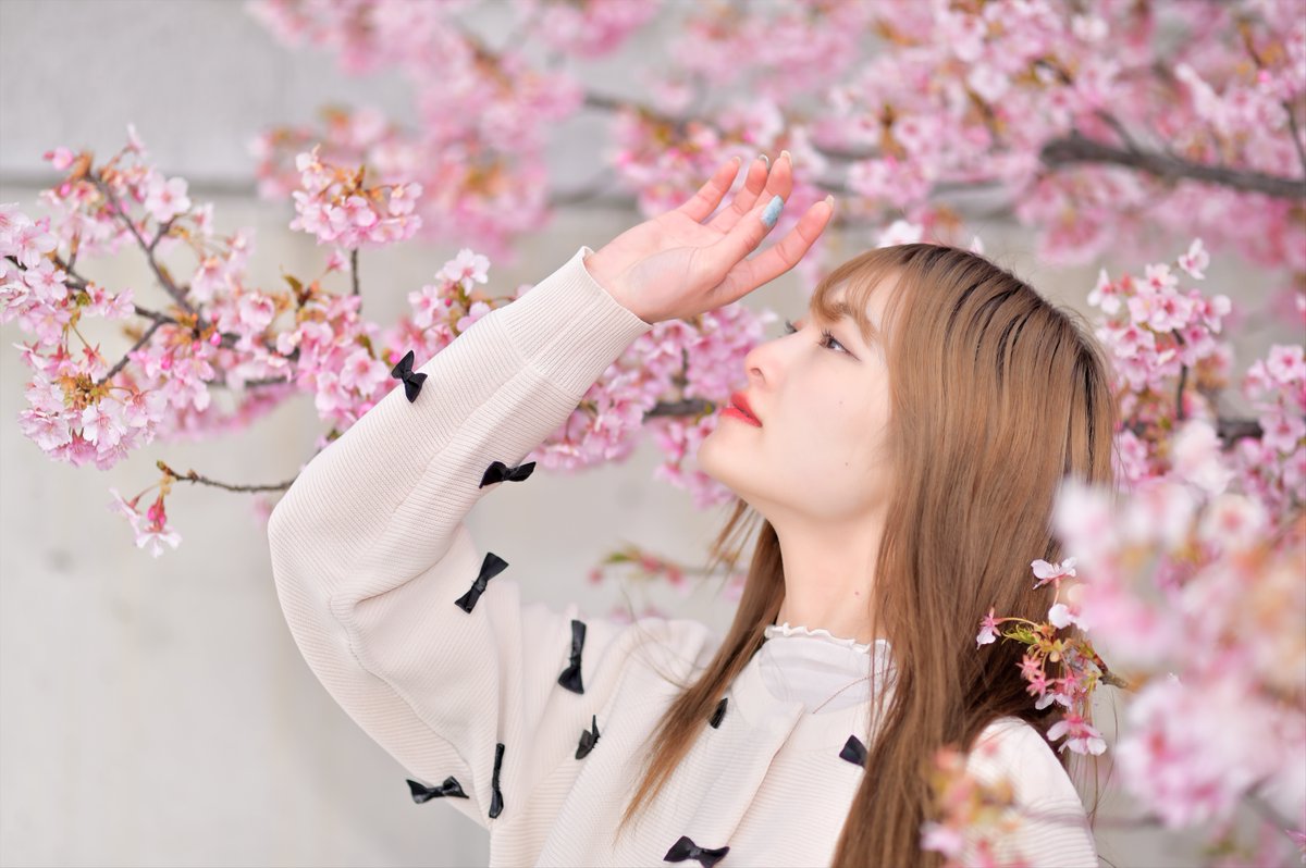 「桜に囲まれて」

model:セイナさん(@se17_color )

#photograph 
#ポートレート
#portrait 
#モデル 
#JAPAN 
#portraitphotography 
#写真好きな人と繋がりたい 
#ポートレート好きな人と繋がりたい 
#kyoto