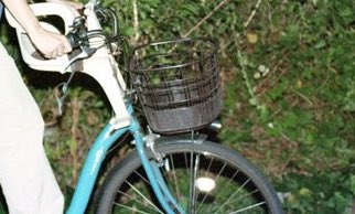 Joonie on a bicycle. tring tring…