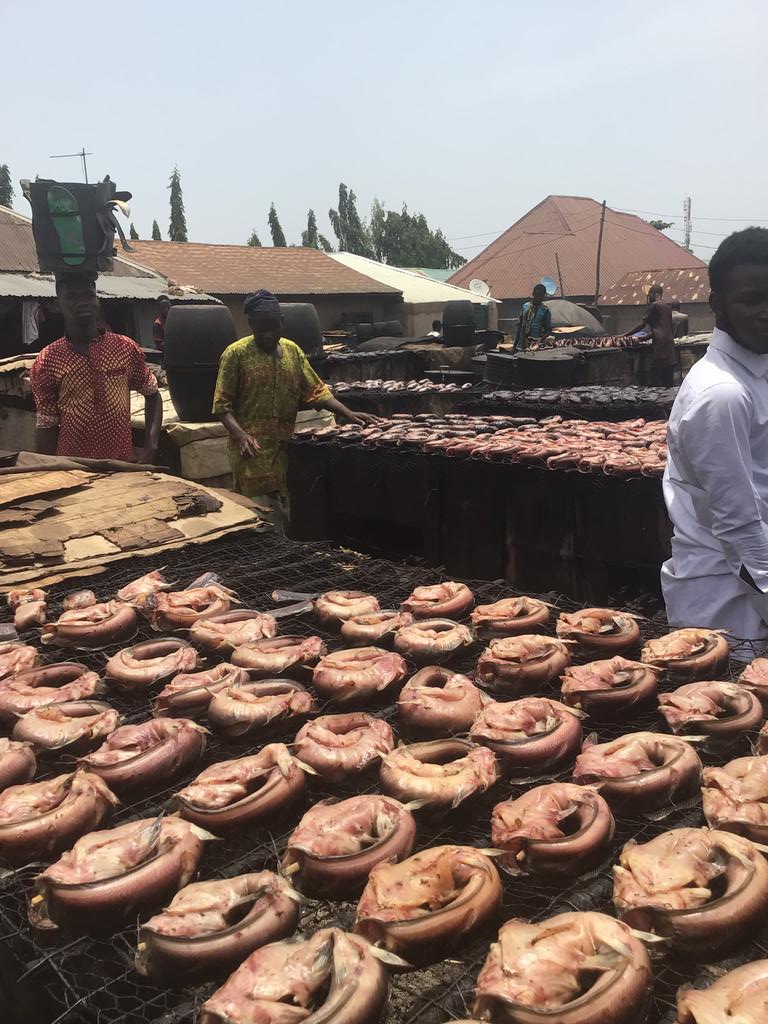 #Community_Development
'Exploring #sustainable and #efficient ways to #smokefish can help preserve #traditional practices while also addressing #health and #environmental concerns. #SmallScaleFishSmokingCommunities #Nigeria' #FISH4ACP