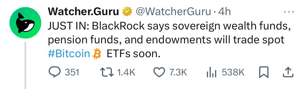 borovik tweet media