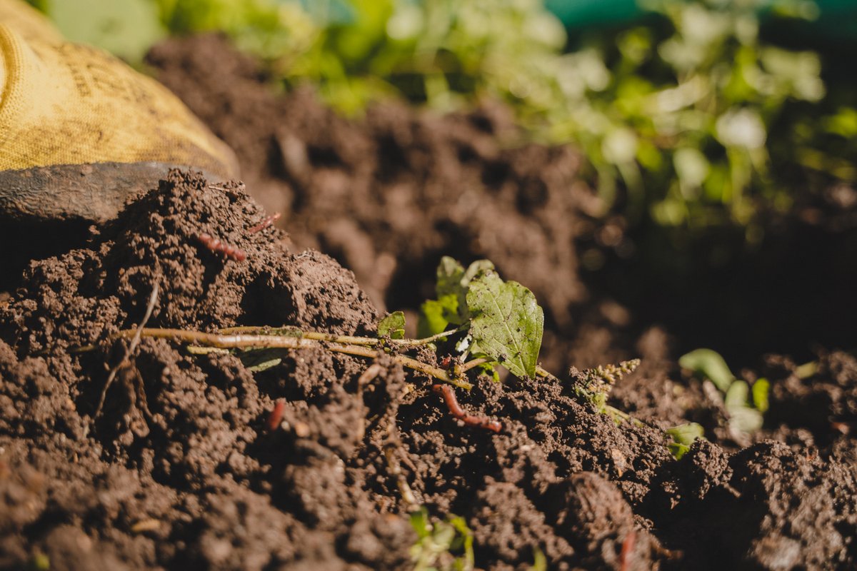 📢 Esta semana se publicó el anteproyecto del Plan Sectorial de Mitigación (PSM), elaborado por el <a href="/ministeriosalud/">Ministerio de Salud</a> con el apoyo del <a href="/MMAChile/">Ministerio del Medio Ambiente</a> para reducir las #emisiones de gases de efecto invernadero (#GEI) del sector #Residuos