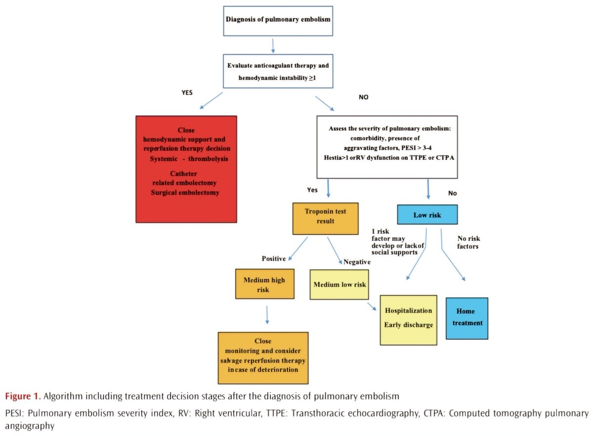🔴 Pulmonary Embolism Treatment: Current Developments and Approaches #OpenAccess #2024Review

doi.org/10.4274/globec…
#medx #medEd #MedTwitter #MedEd #cardiotwitter #FOAMed #CardioEd #Cardiology #MedEd #ENARM #cardiotwiteros #meded #cardiology #CardioTwitter #CardioEd