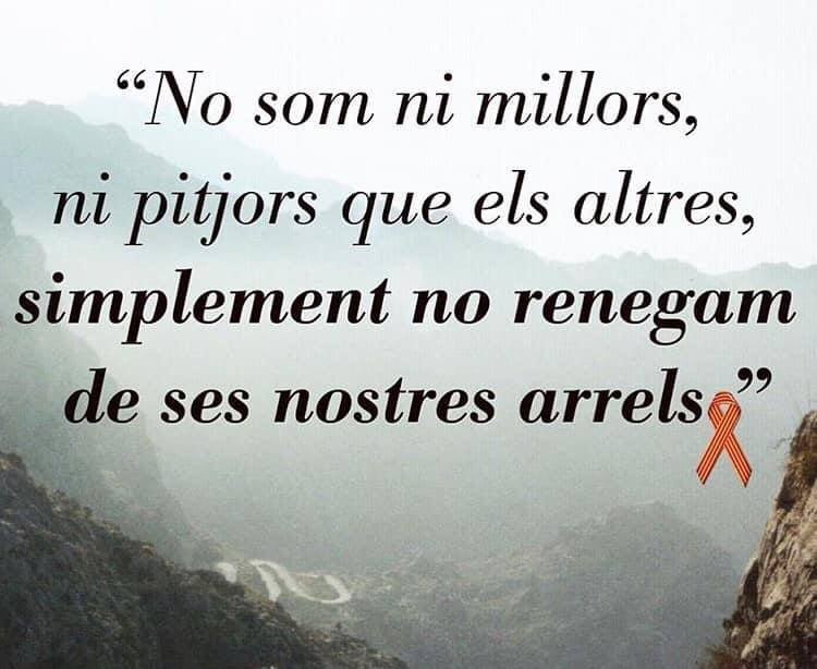 Sergi Soria Moll (@sergiferrabra) on Twitter photo 