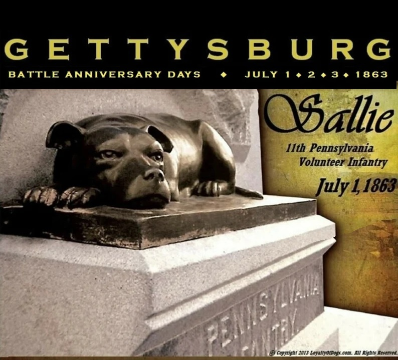 Today's sunny warm temperatures are a preview of summer @ #Gettysburg! Attn: #dog-lovers, we have THE Gettysburg #Tshirt for fans of #dogs in #CivilWarhistory: our original in classic black here, loyaltyofdogs.etsy.com/listing/211337… or other colors and styles here: bit.ly/Sallie-Shirt-C…