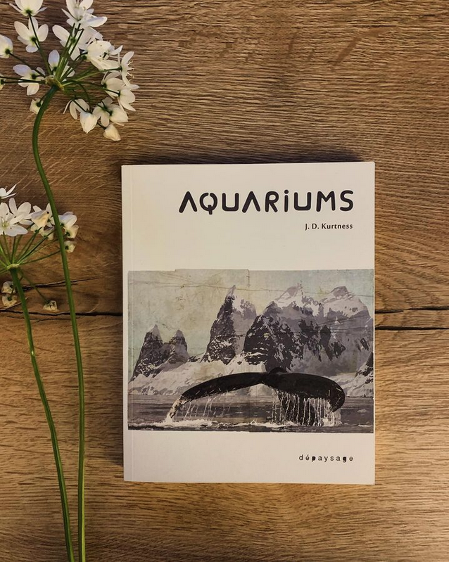 Anne, à propos d'Aquariums : 'J’ai pris beaucoup de plaisir à lire ce roman très bien écrit. Ce qu’il dit de l’écroulement programmé de notre monde est sombre mais l’autrice s’en tient aux faits scientifiques, ne dramatise jamais et le texte n’est pas dépourvu de lumière.'