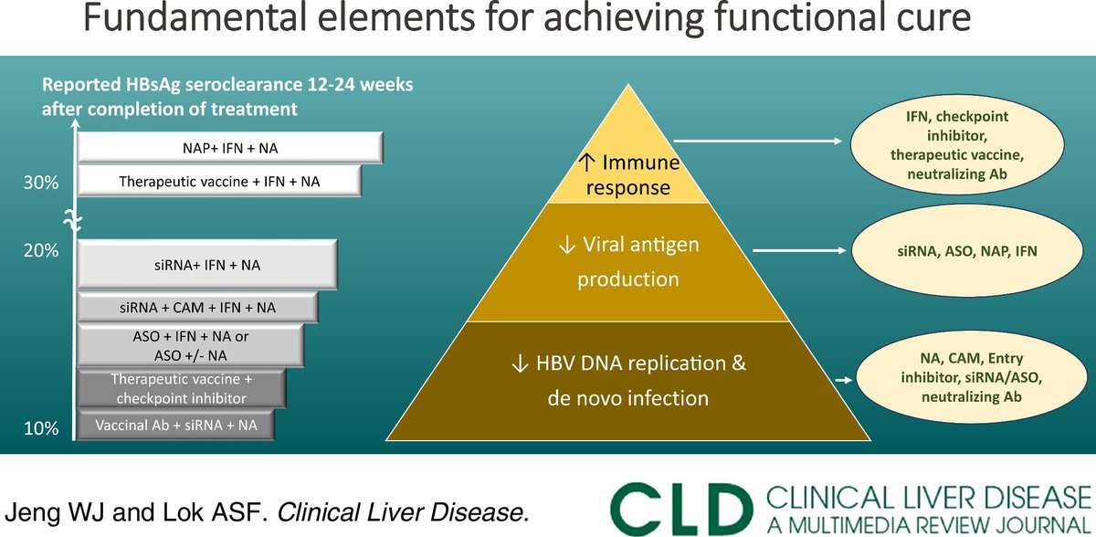 2 more from our Hep B elimination series journals.lww.com/cld/pages/coll… -Elimination: journals.lww.com/cld/fulltext/2… -Functional cure (Anna Lok): 3%–5% after 10 yrs of nucleos(t)ide analogs; 8%–14% after 3–5 years of 48-wks of peg interferon. Trials also discussed journals.lww.com/cld/fulltext/2…