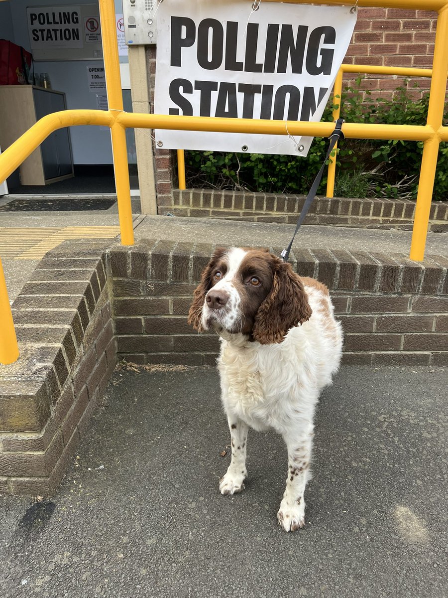 Rio does his bit for democracy #dogsatpollingstations