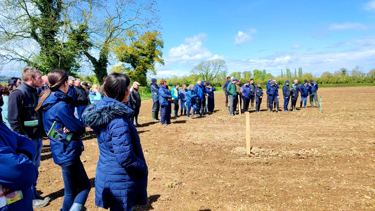 Thanks to everyone who joined us yesterday at the first @Teagasc farm walk of the year on Bill George's dairy and tillage farm in Co. Laois! Find out more about the farm here: tinyurl.com/yvvdmtsc