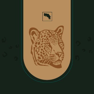 De diseño/identidad gráfica no sé nada, pero a este jaguar le pusieron la barba de RCh, ¿no? 🫠🤡