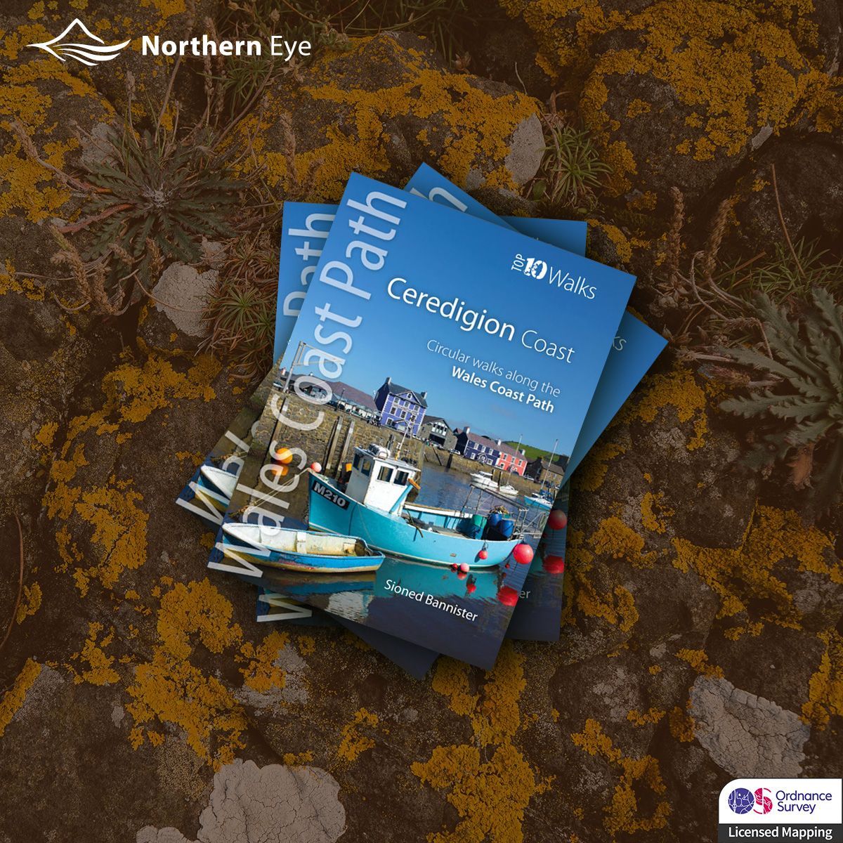 Our 'Top 10 Walks' guide to the Ceredigion Coast contains ten of the very best scenic circular walks on offer. Available through local walking book stockists and online at buff.ly/3n1bbsx #WalesCoastPath #LlwybrArfordirCymru #VisitWales #CroesoCymru