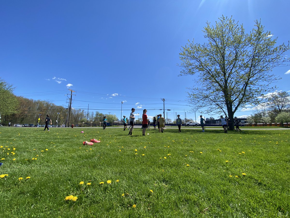 Mrs. Spitzer tweet media