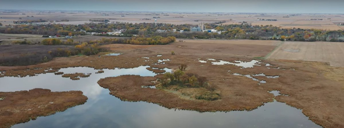 It’s #AmericanWetlandsMonth! Celebrate by watching the “Iowa’s Wetlands” video series - and see different types of wetlands around the state from a drone’s eye view. Check back Thursdays in May when we’ll highlight a video from the series.
go.iastate.edu/FJD5Y8