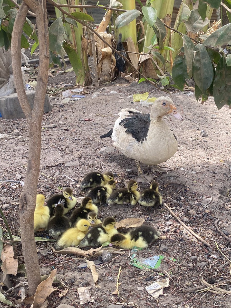 ejobe712's tweet image. Greetings ✝️