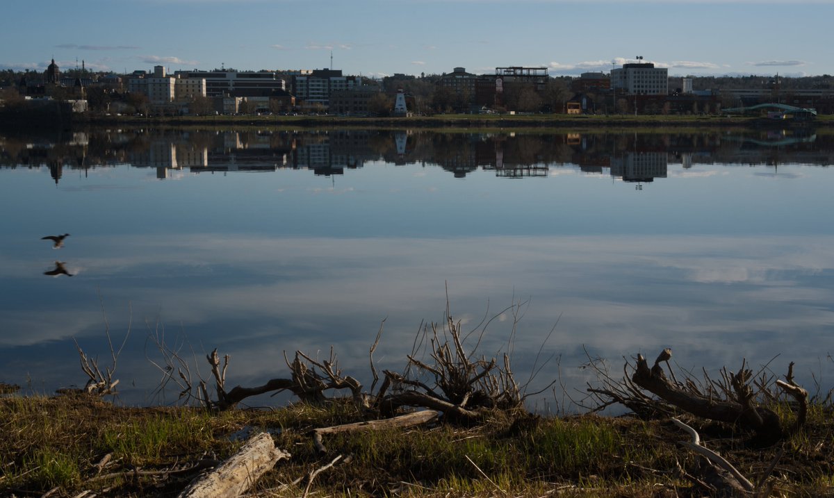 rossatechstudio's tweet photo. Photo-bombed by a Mallard. Got the mirror effect before he ruined it.  #Fredericton #Mallard #Riverscape #Photowalk https://t.co/fpOSZu7lqc