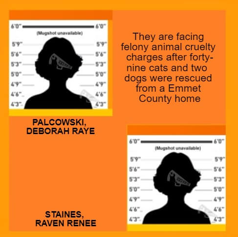 - Michigan, USA -
DEBORAH RAYE PALCOWSKI and RAVEN RENEE STAINES facing charges – 51 animals rescued from their home
voiceforus.com/post/deborah-r…

#VoiceForUs #AllLivesMatter #stopanimalcruelty #StopAnimalAbuse #animalabuse #animalabusers #stopanimalabuse #cruel #evil #Michigan #gatos